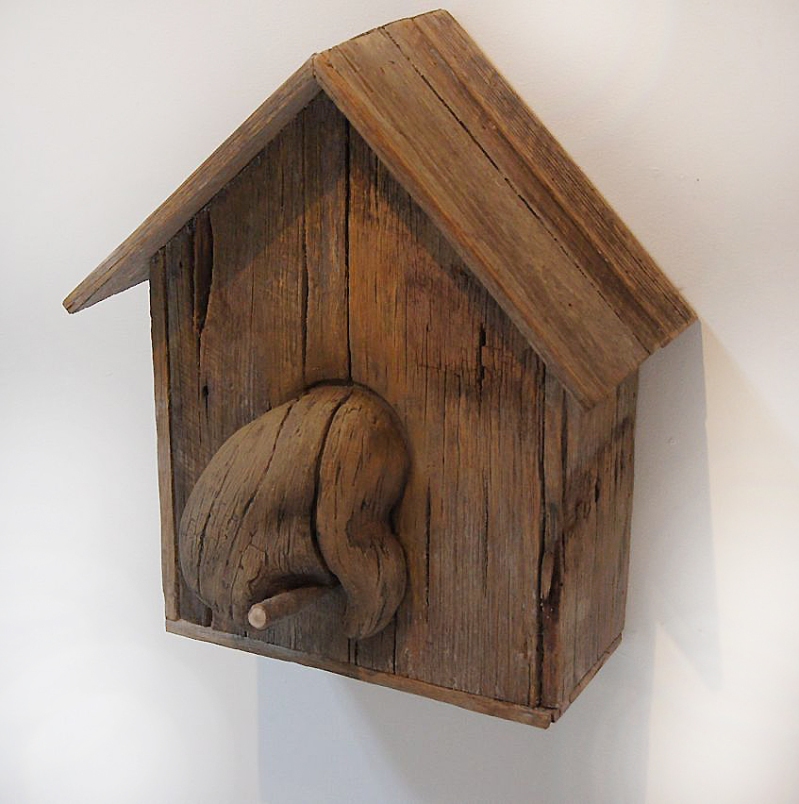 bird house plans to download